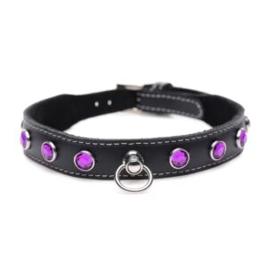 Bling Vixen Leather Choker w Purple Rhinestones